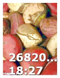Viagra Rx Number