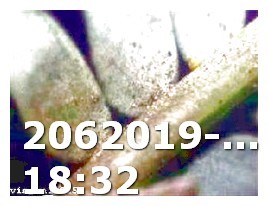 Female Viagra Kaufen Schweiz