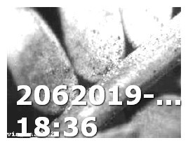 Viagra Generic Availability Date