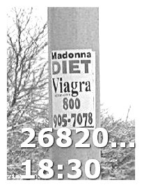 Viagra vs Cialis vs Levitra Which Is Better