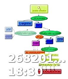 Cost of Viagra 25 Mg