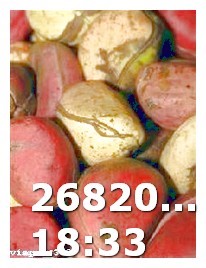 Comprar Viagra en Portugal Sin Receta