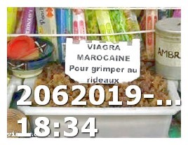 Buy Generic Viagra Online Free Shipping