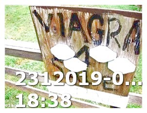 History of Viagra Wikipedia Pfizer