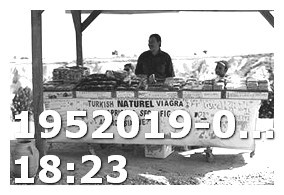 Viagra 100mg Giá Bao Nhiêu