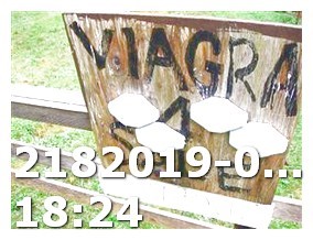 Viagra Pill Brands