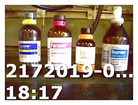 Viagra Compared to Generic Sildenafil 20