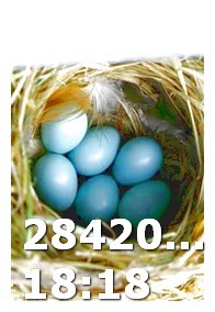 Viagra Cost Per Pill 25mg Triazolam