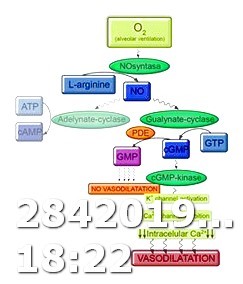 How Does Viagra Work Webmd Symptoms a to Z