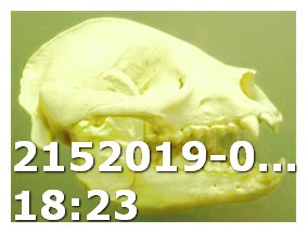 Viagrabuy Online Filmek Tv