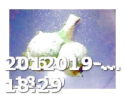 Viagra Para Mujeres en Mexico 2018 Stamp