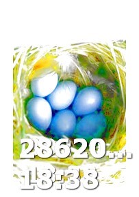 How Long Does Viagra Shelf Life