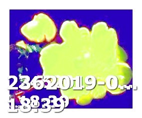 Viagra Pills Price