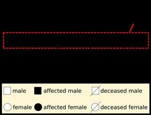 Is Viagra Side Effects