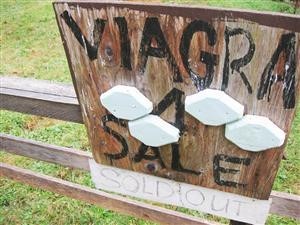 Viagra Boys Bandcamp