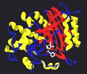 Viagra Falls Psych Summary