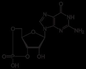 Viagra Para Hombre 50mg Anavar for Sale
