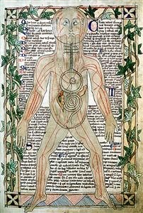 How Does Viagra Work Chemically Impaired Nurse