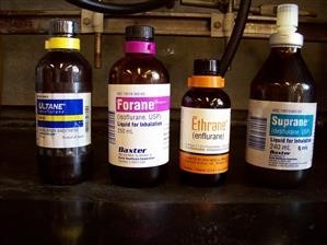 Does Viagra Need Doctor Prescription