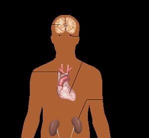 Viagra Usage Tips