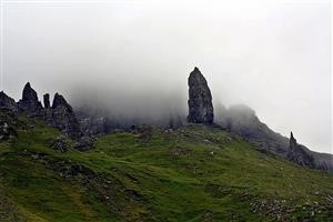 Himalayan Viagra Images and Working